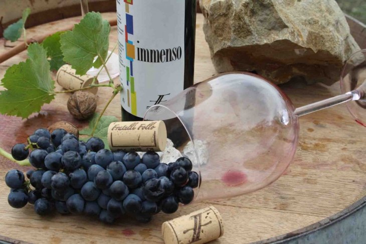 GalleryAzienda91-980x653