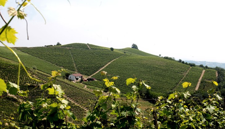 Cascina e Vigneto Pineto