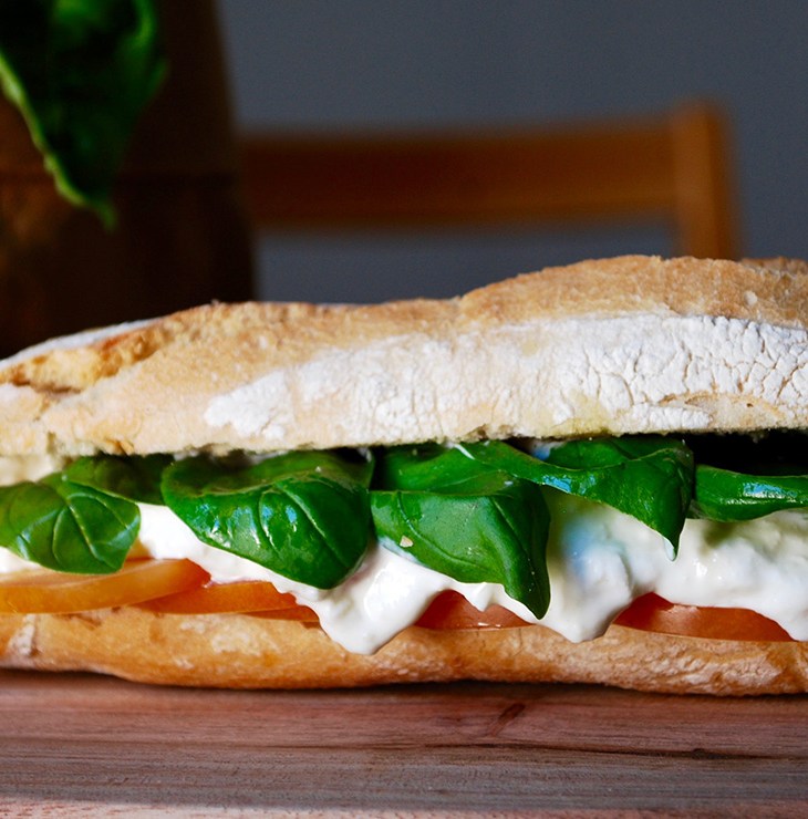 Ciabatta con stracciatella, pomodoro e basilico fresco
