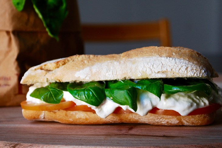 Ciabatta con stracciatella, pomodoro e basilico fresco