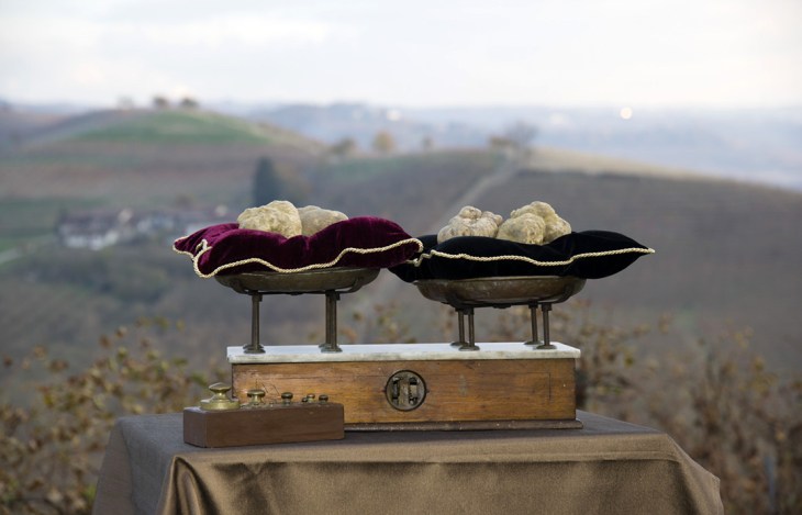 Tartufi Bianchi d’Alba