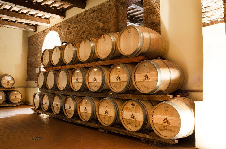 Una parte delle cantine di Usiglian del Vescovo