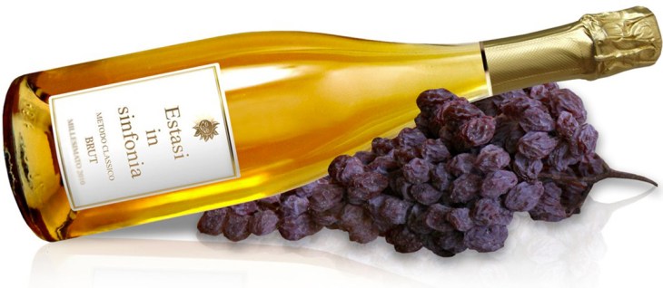 Estasi in Sinfonia Metodo Classico