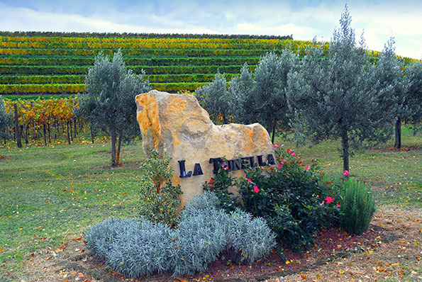 Il masso di ponca emblema dell’azienda La Tunella