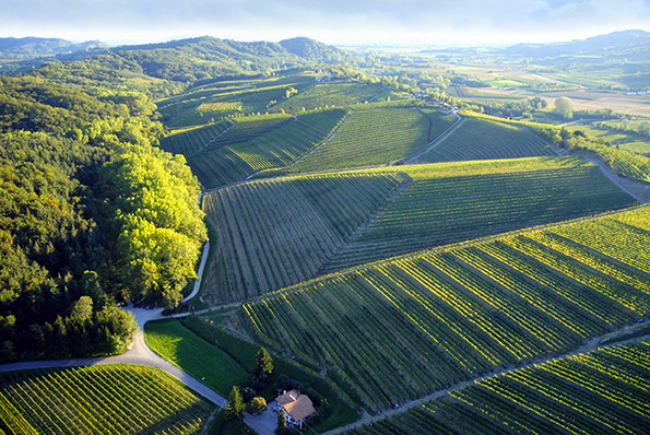 Veduta dei Colli Orientali del Friuli