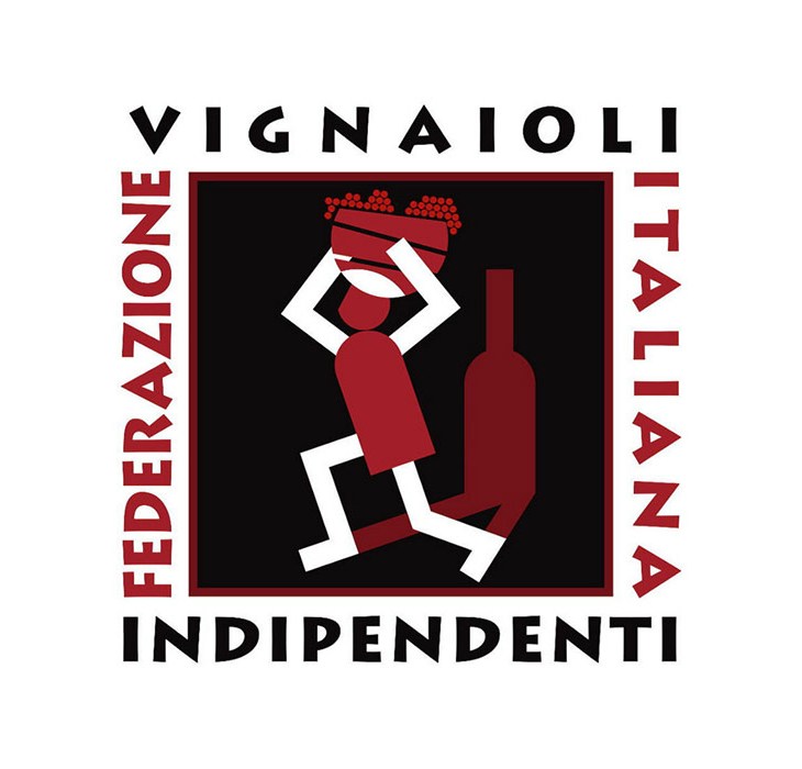 logo FIVI
