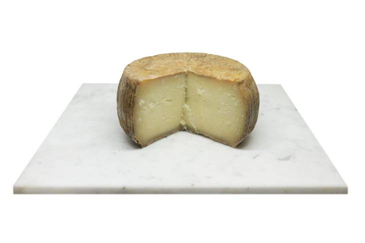 Il Formaggio Camarsciano