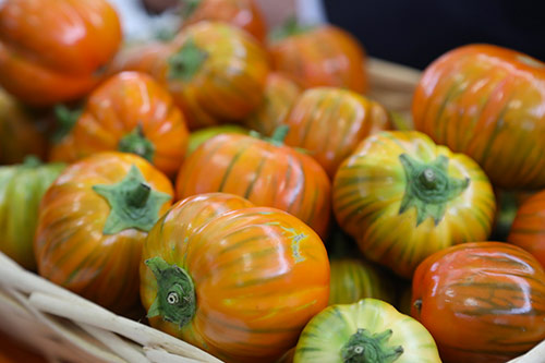 La Melanzana rossa di Rotonda