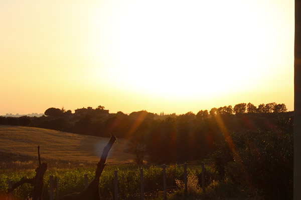 L'azienda vinicola Buresta Marco Vinicio al tramonto