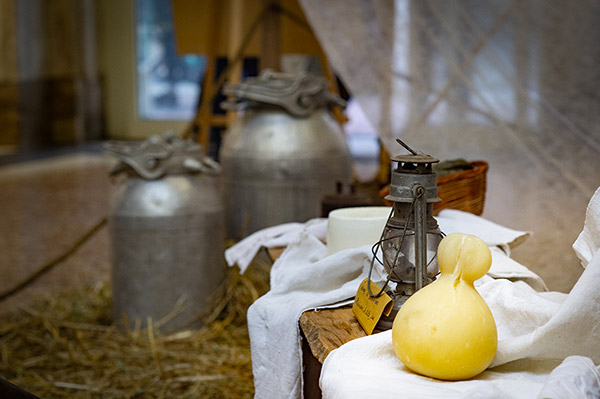 Contenitori di latte e formaggi