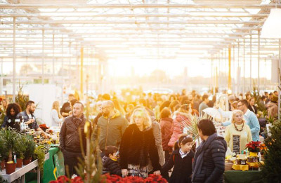 Cibo, piante e molto altro all_interno di Serra Madre