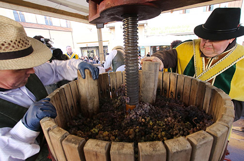 la torchiatura delle uve appassite