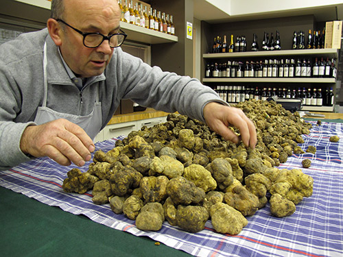 I tartufi di Tartuflanghe