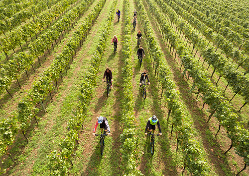 In bici tra le vigne della Franciacorta