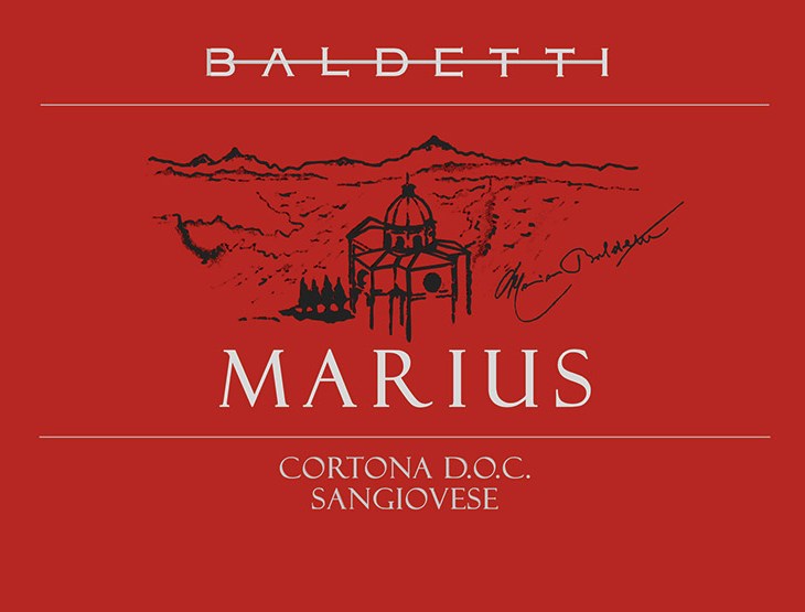 MARIUS CORTONA DOC BALDETTI