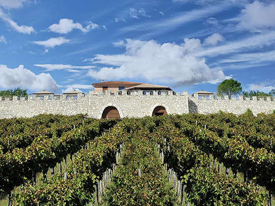 Veduta dell’azienda vinicola La Fortezza