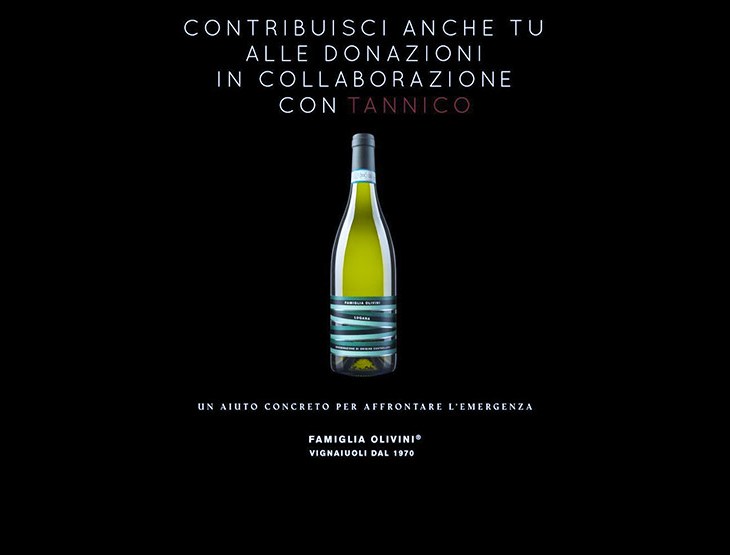 DEMESSE VECCHIE LUGANA DOC FAMIGLIA OLIVINI. UN VINO PER BRESCIA