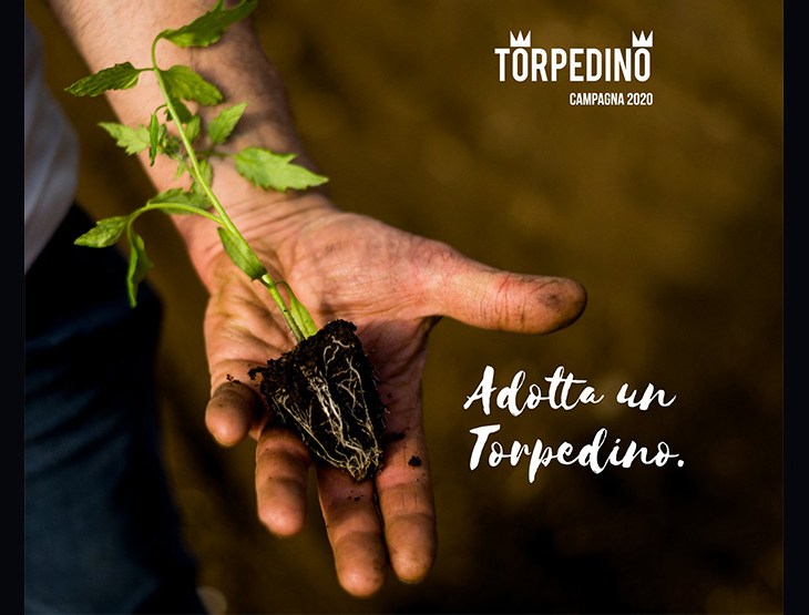 Adotta un torpedino 2020