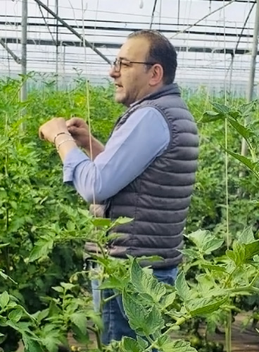 Mariano Di Vito Ceo Torpedino Srl