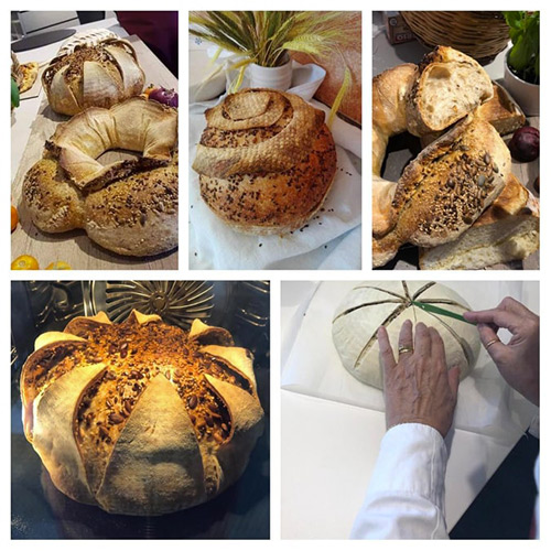 Varie tipologie dei pani di Angela Verdiani