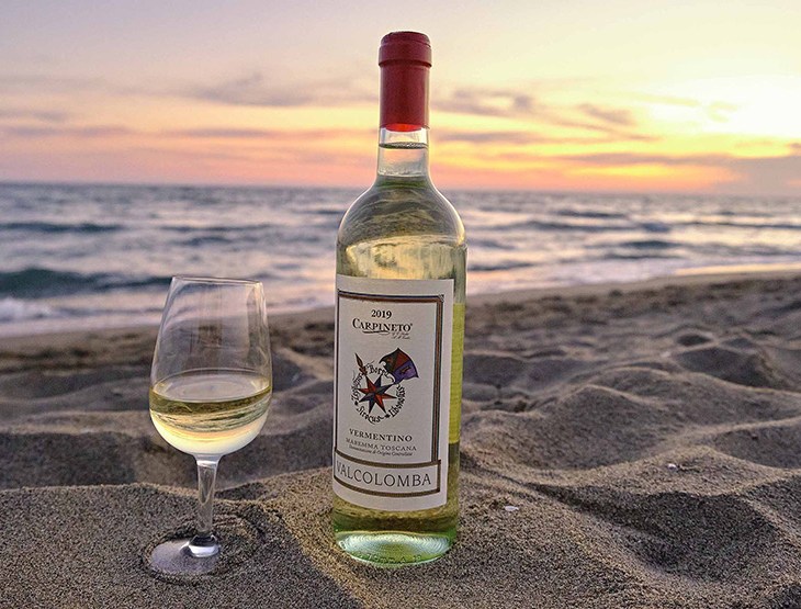 Calice di Vermentino Valcolomba Doc 2019 Carpineto sul mare