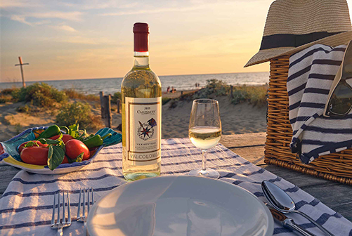 Picnic in spiaggia con il Vermentino Valcolomba Doc 2019 Carpineto