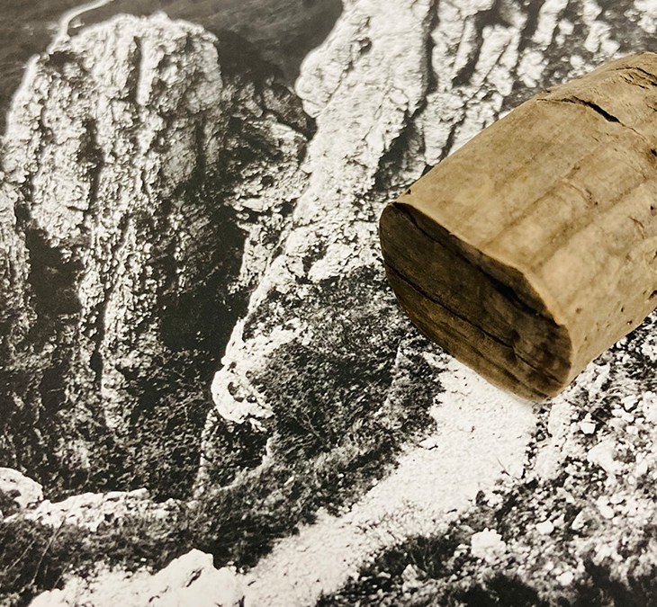 ADAMELLO, UN TAPPO CHE HA FATTO LA STORIA