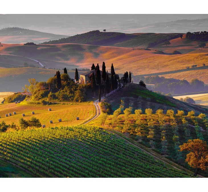 IL CONSORZIO DEL VINO ORCIA DICE NO A STRUTTURE INQUINANTI