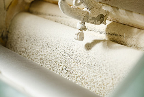 La farina al Molino Moras