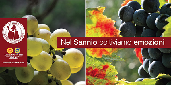 Sannio Consorzio Tutela Vini